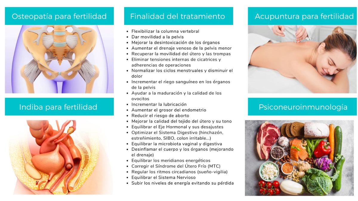 acupuntura para fertilidad