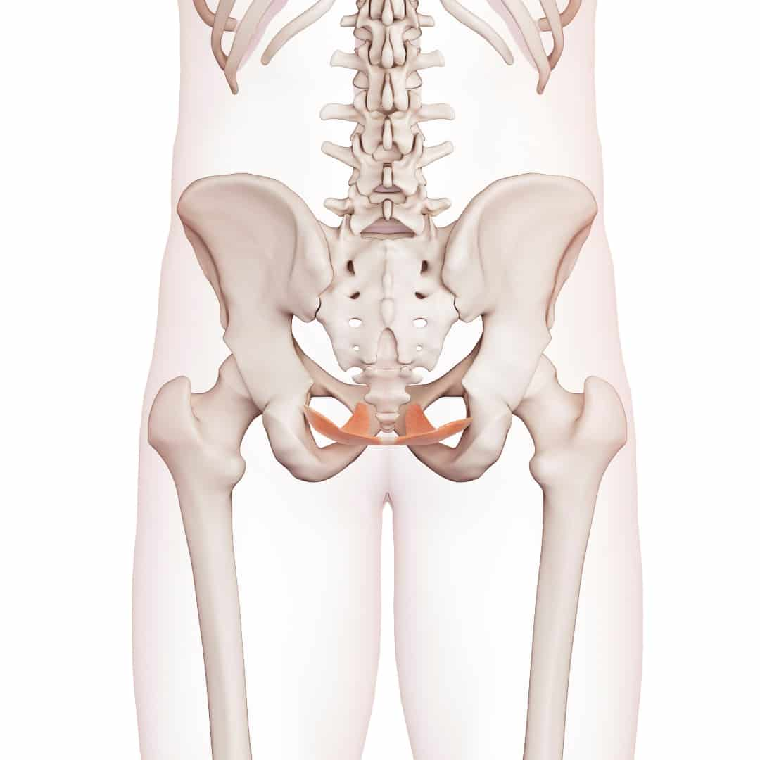 ejercicios para la recuperacion del suelo pélvico en hombres