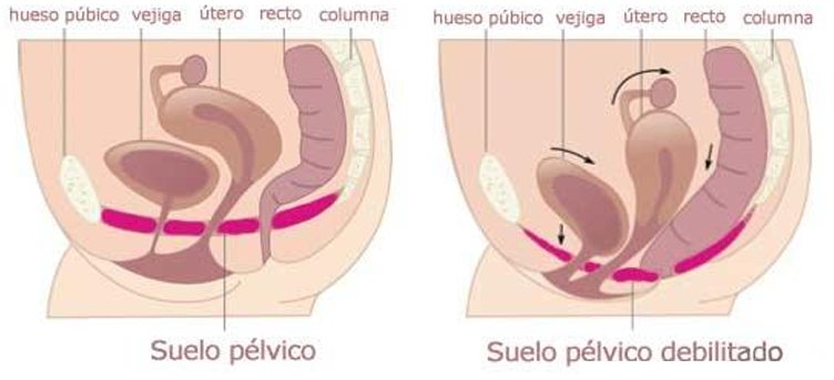 Los ejercicios de Kegel. ¿Qué son y para qué sirven?